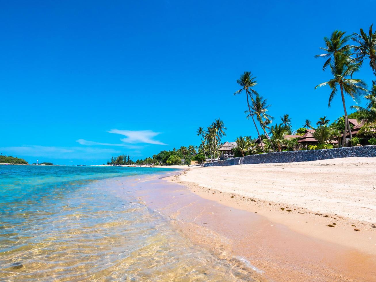 linda praia tropical com palmeiras foto