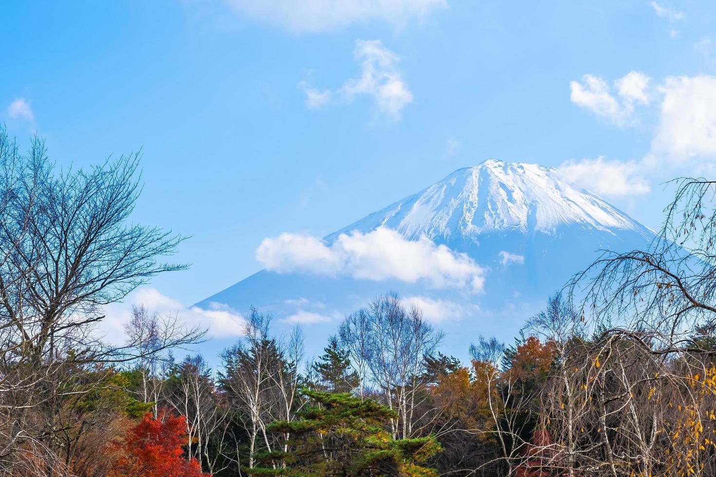 mt. Fuji no Japão no outono foto