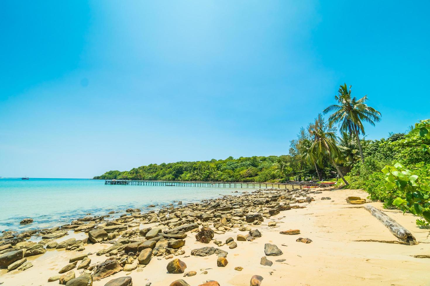 bela praia tropical foto