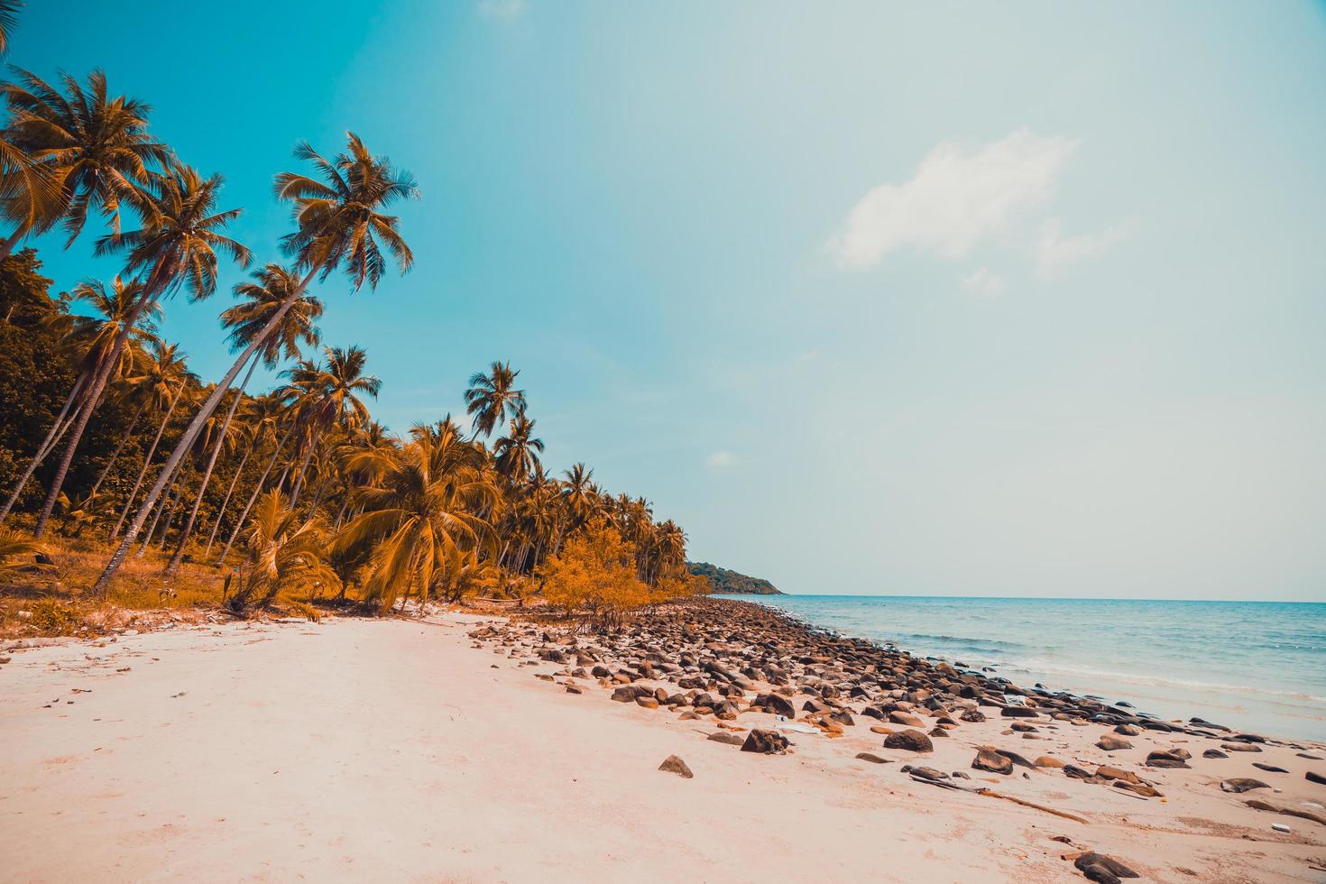 praia tropical em uma ilha paradisíaca foto