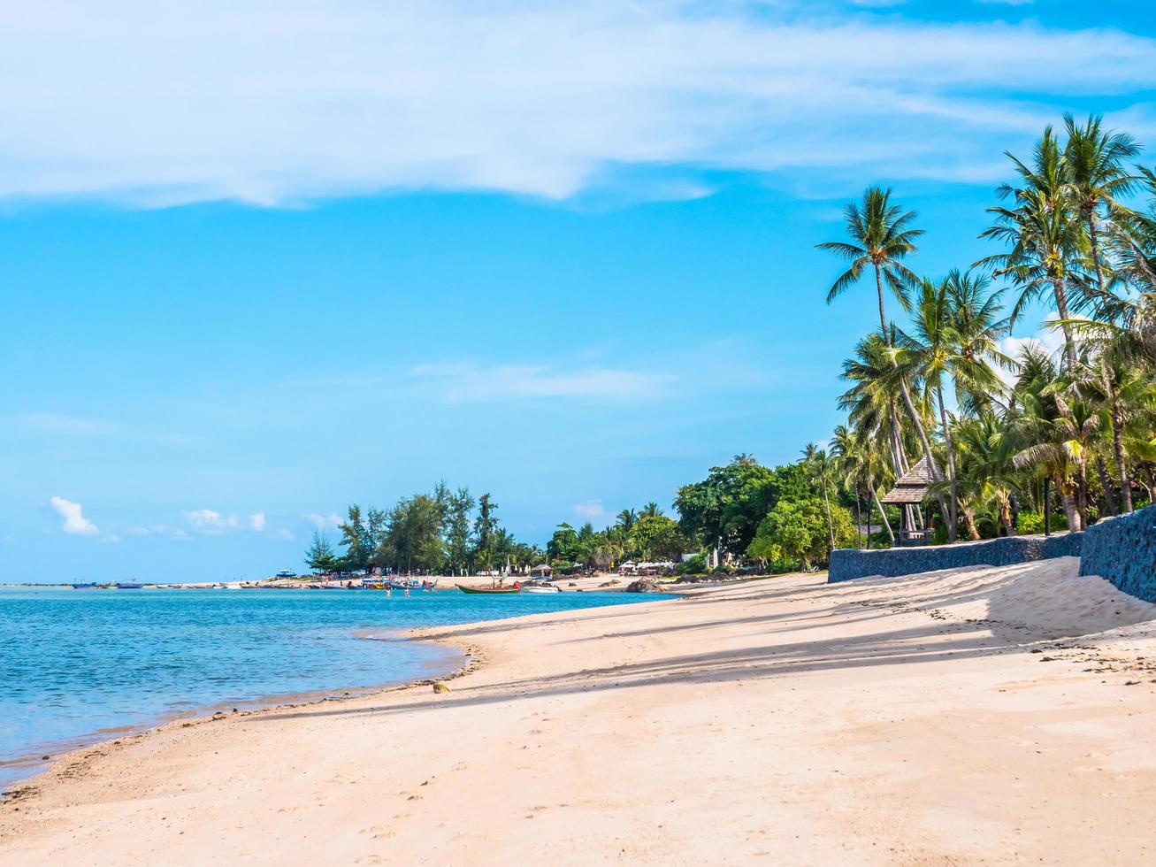 linda praia tropical com palmeiras foto