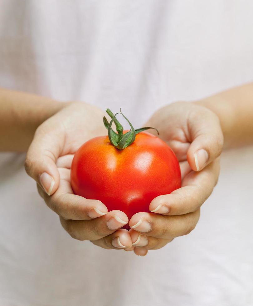 mãos segurando um tomate foto