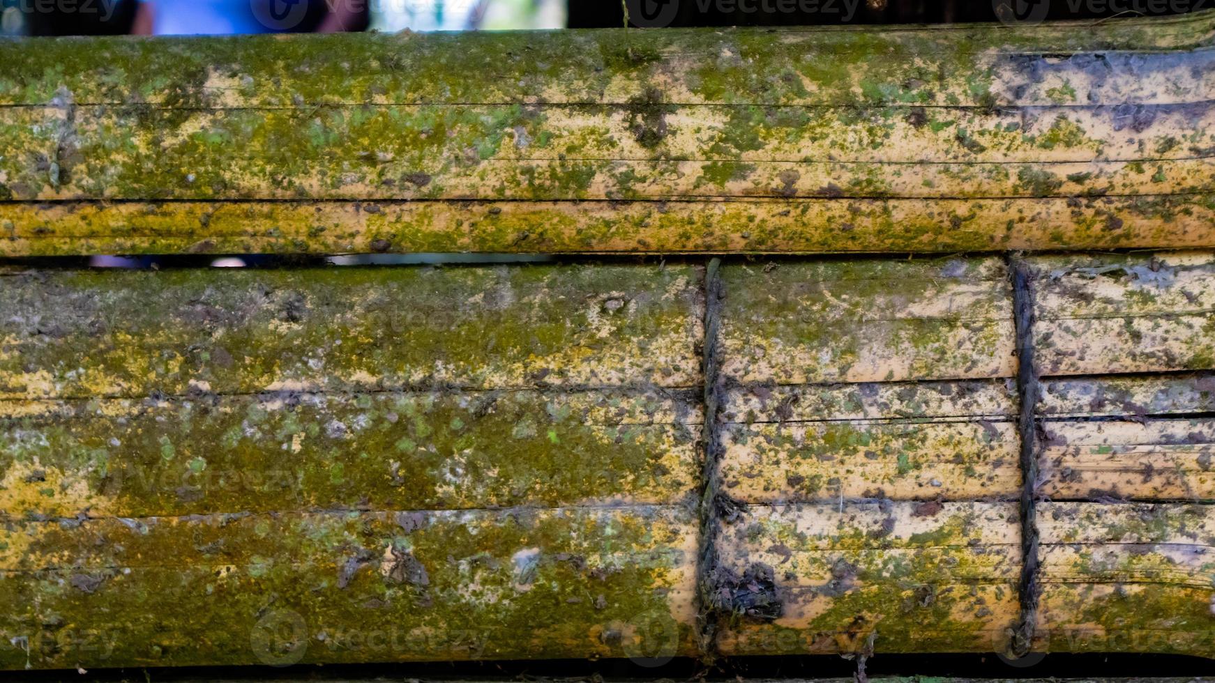 textura de parede de bambu musgoso como pano de fundo foto