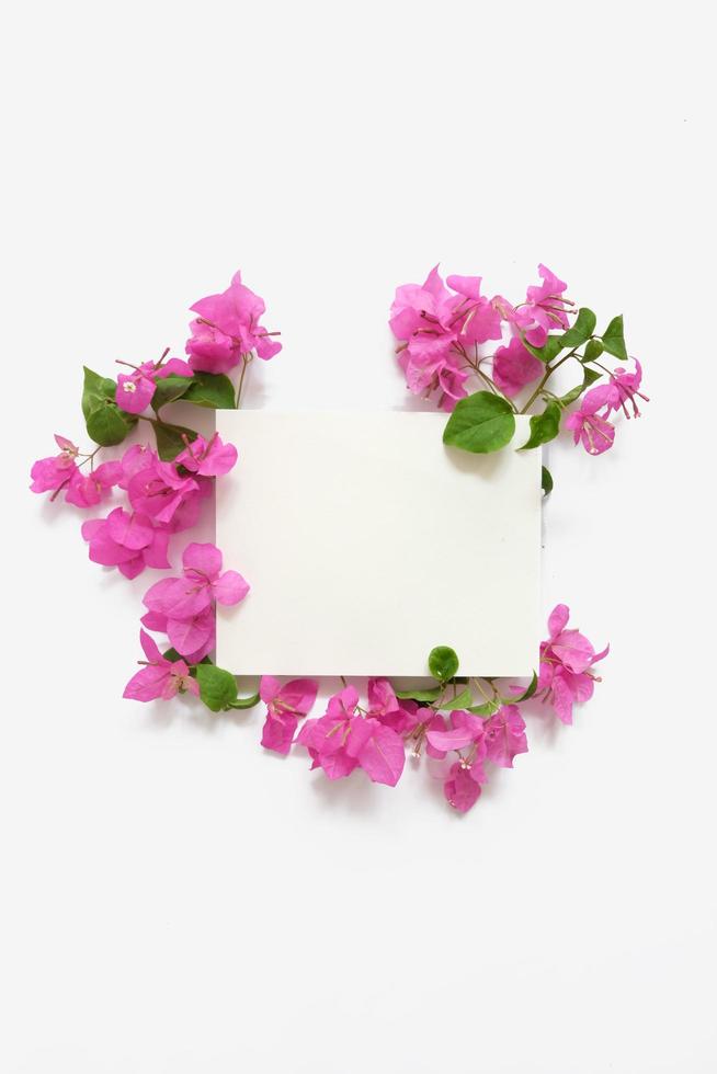 papel em branco com moldura floral rosa foto