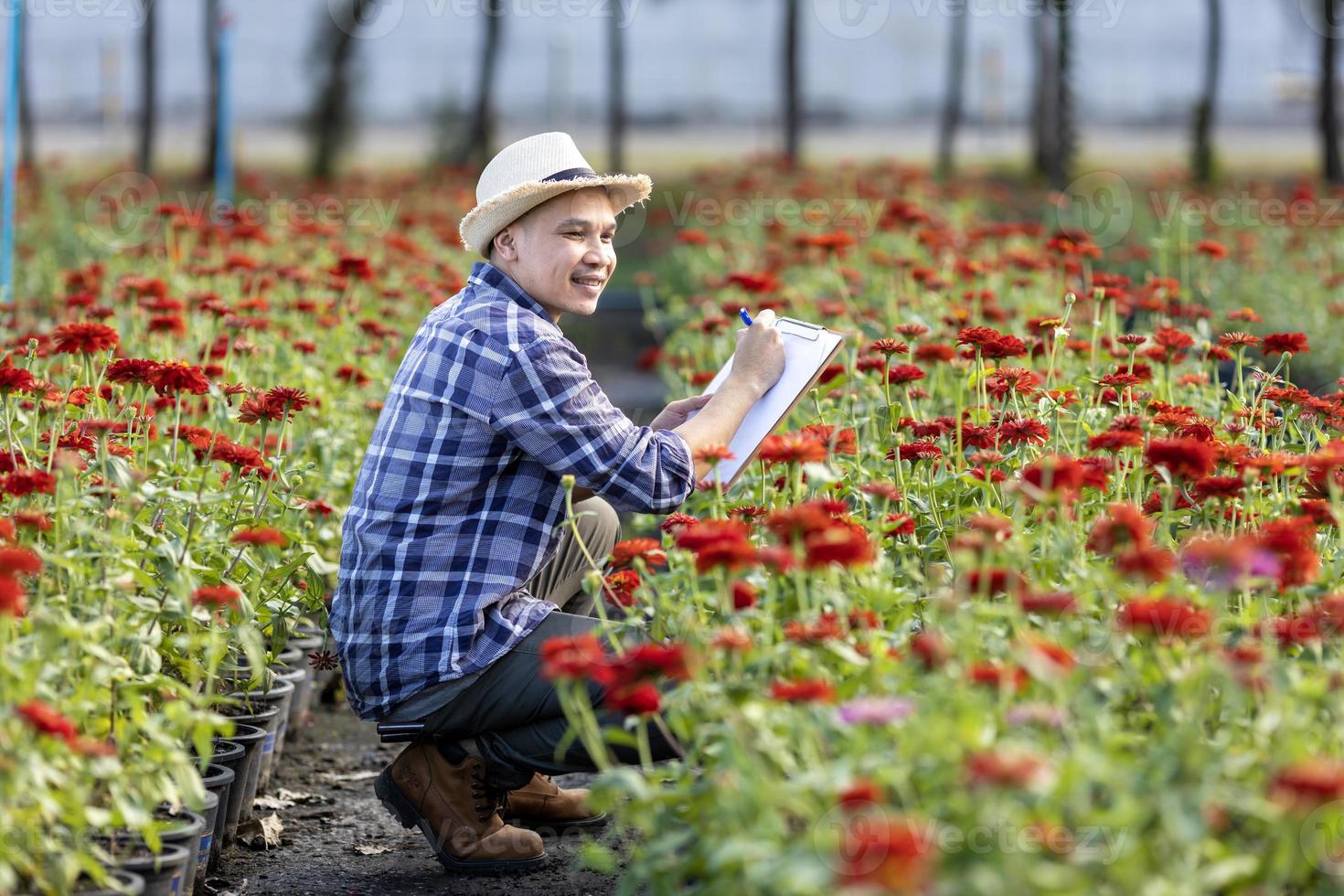 ásia jardineiro é levando Nota usando grampo borda em a crescimento e saúde do vermelho zínia plantar enquanto trabalhando dentro dele rural campo Fazenda para medicinal erva e cortar flor conceito foto