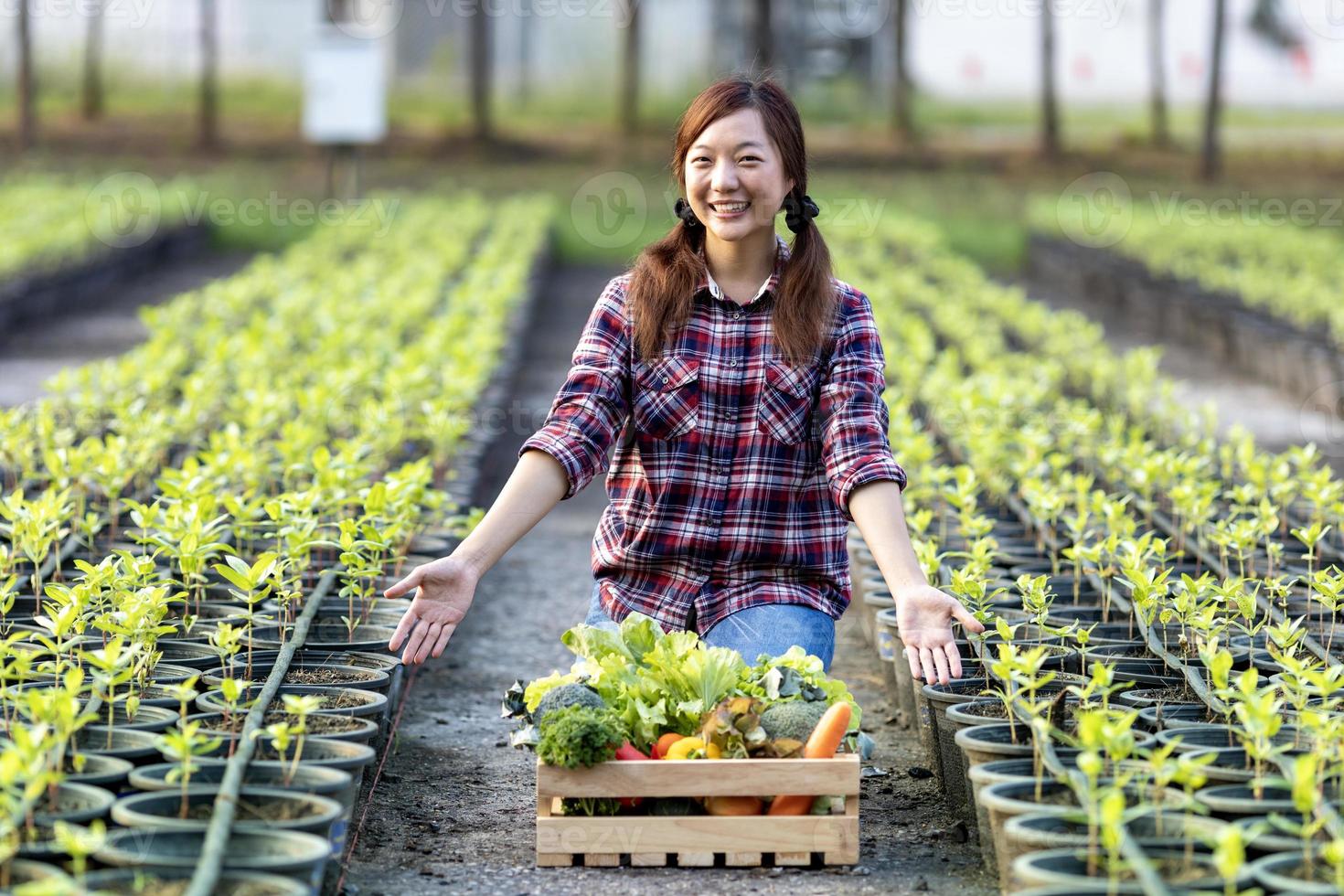 ásia mulher agricultor é mostrando a de madeira bandeja cheio do recentemente escolher orgânico legumes dentro dela jardim para colheita estação e saudável dieta Comida foto