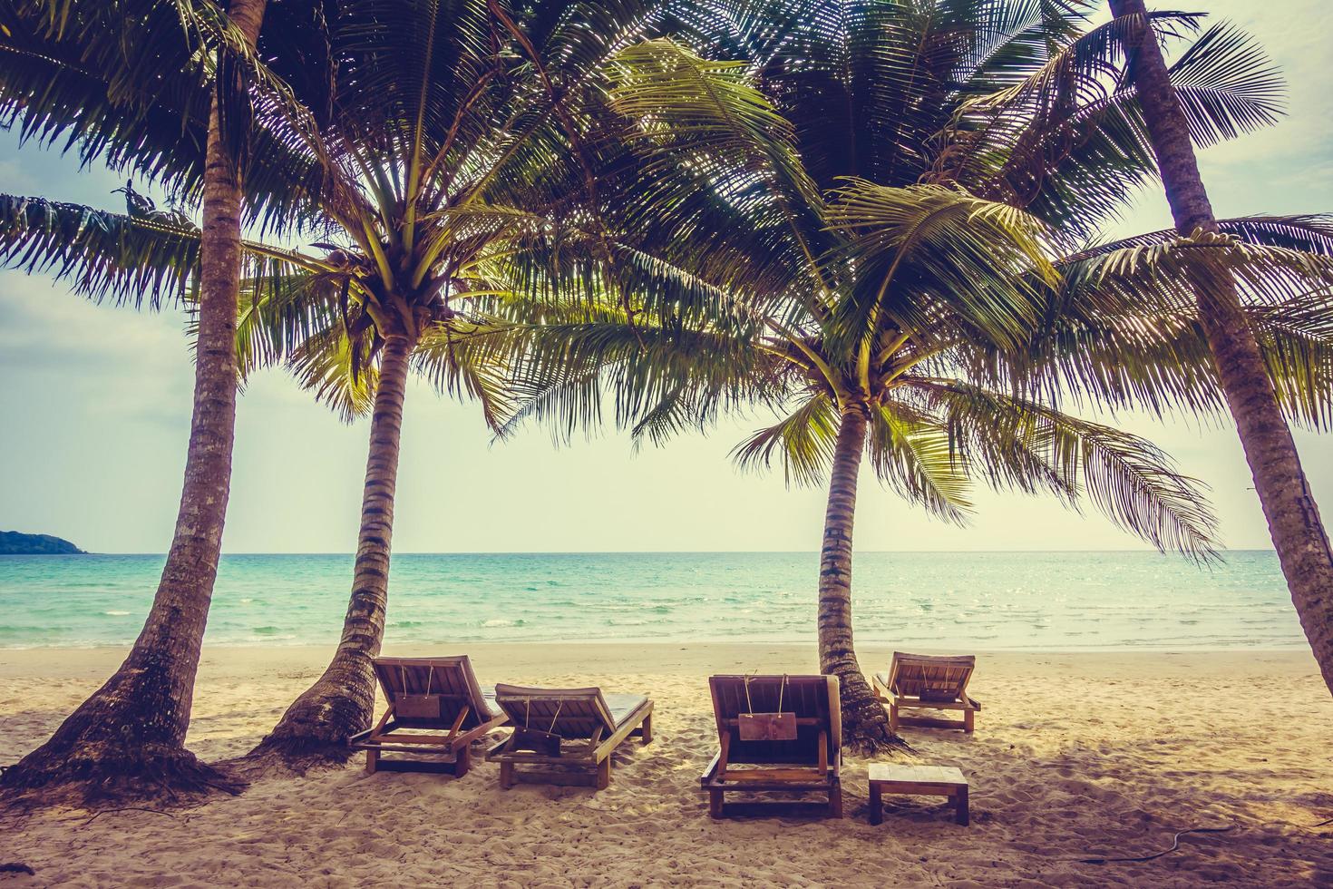 praia tropical com palmeiras foto