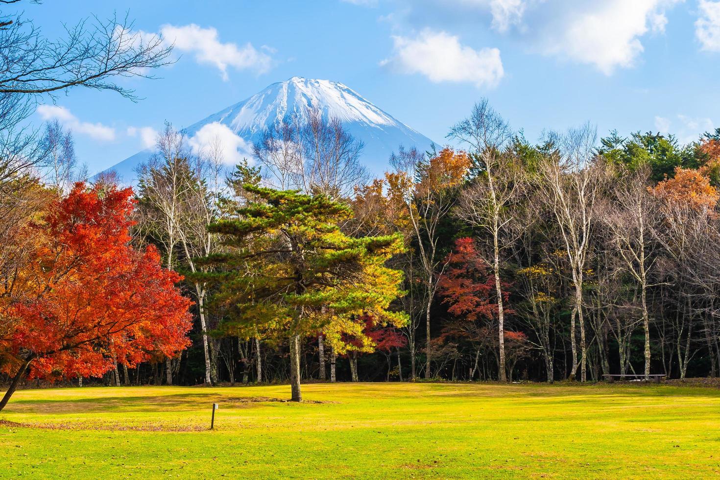 paisagem em torno de mt. Fuji no Japão no outono foto