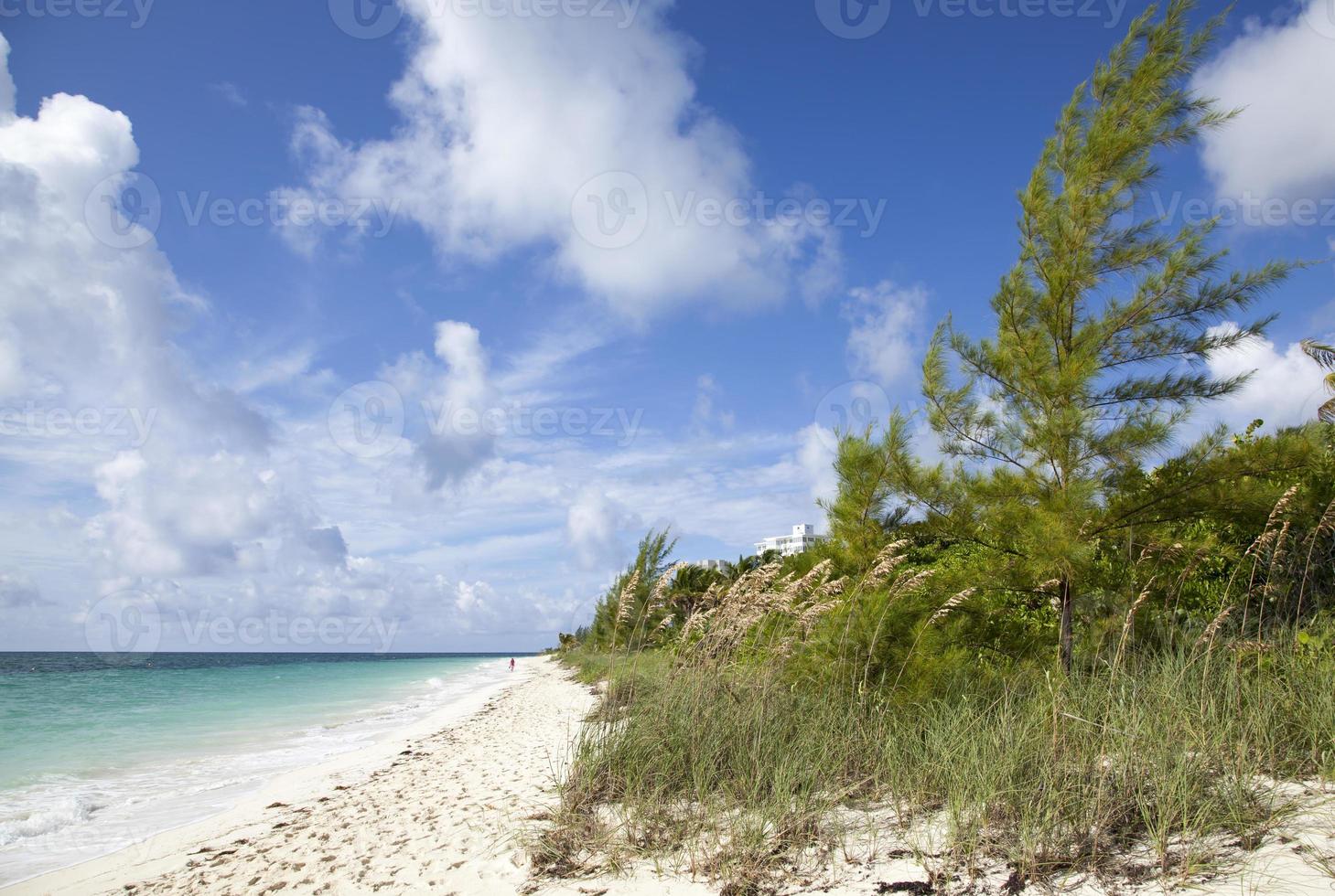 praia de corais da ilha grand bahama foto