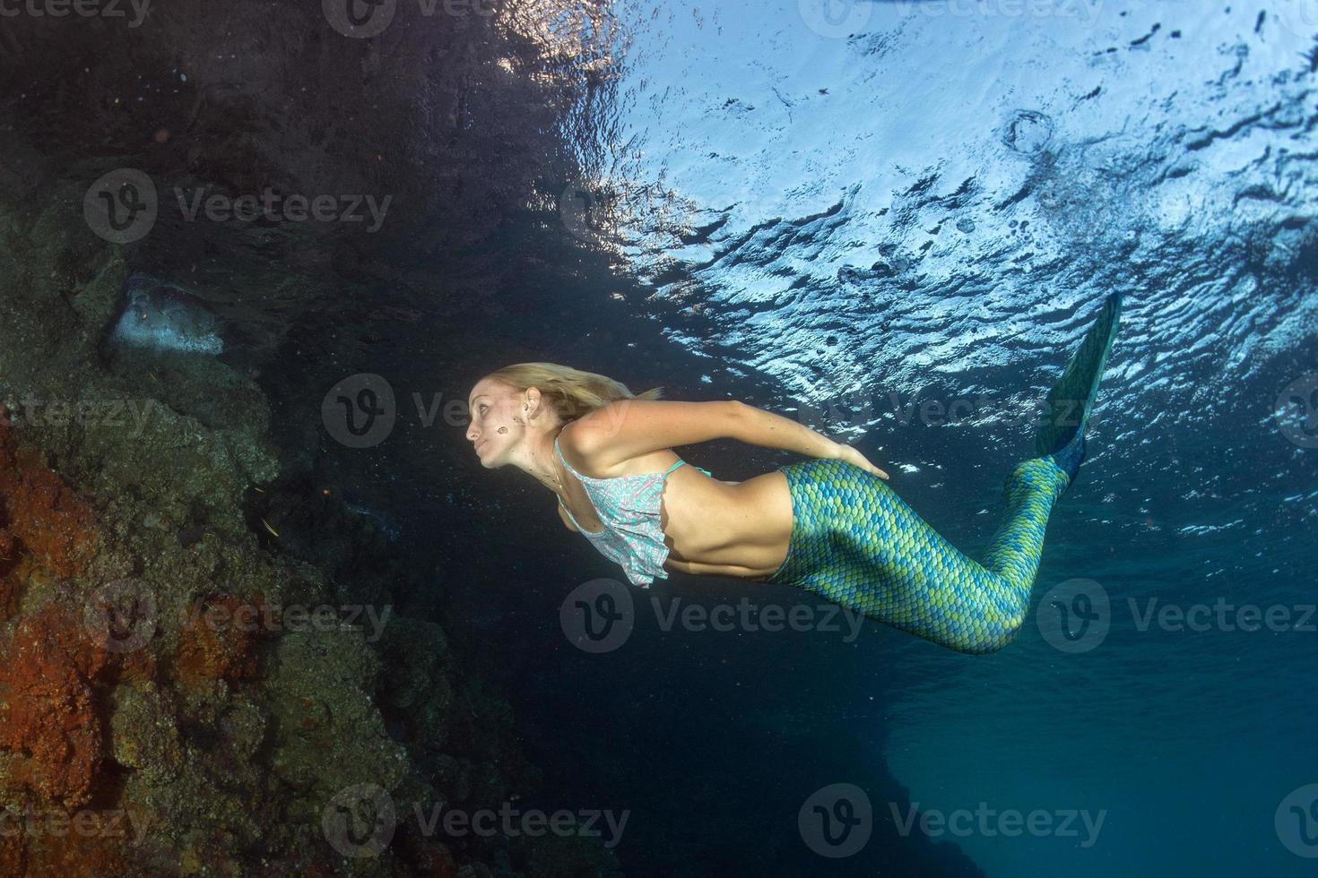 loira linda sereia mergulhador debaixo d'água foto