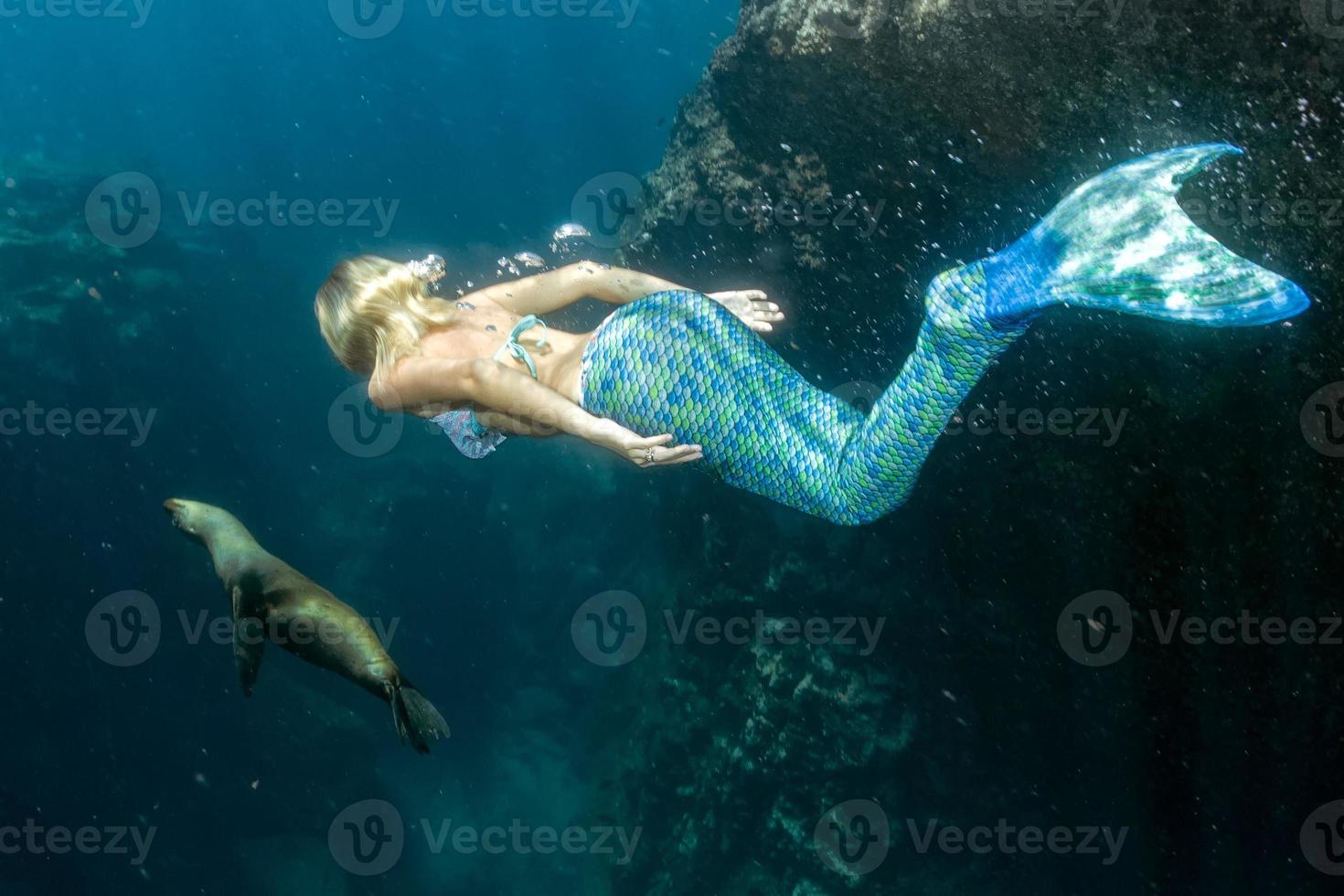 mar leão e sereia embaixo da agua foto