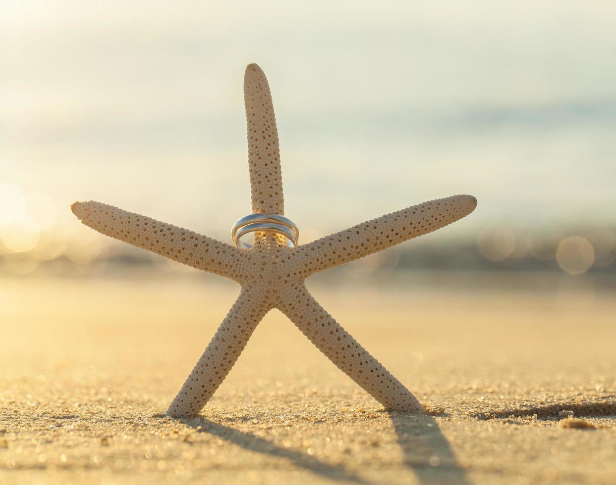 anéis de casamento em uma estrela do mar foto