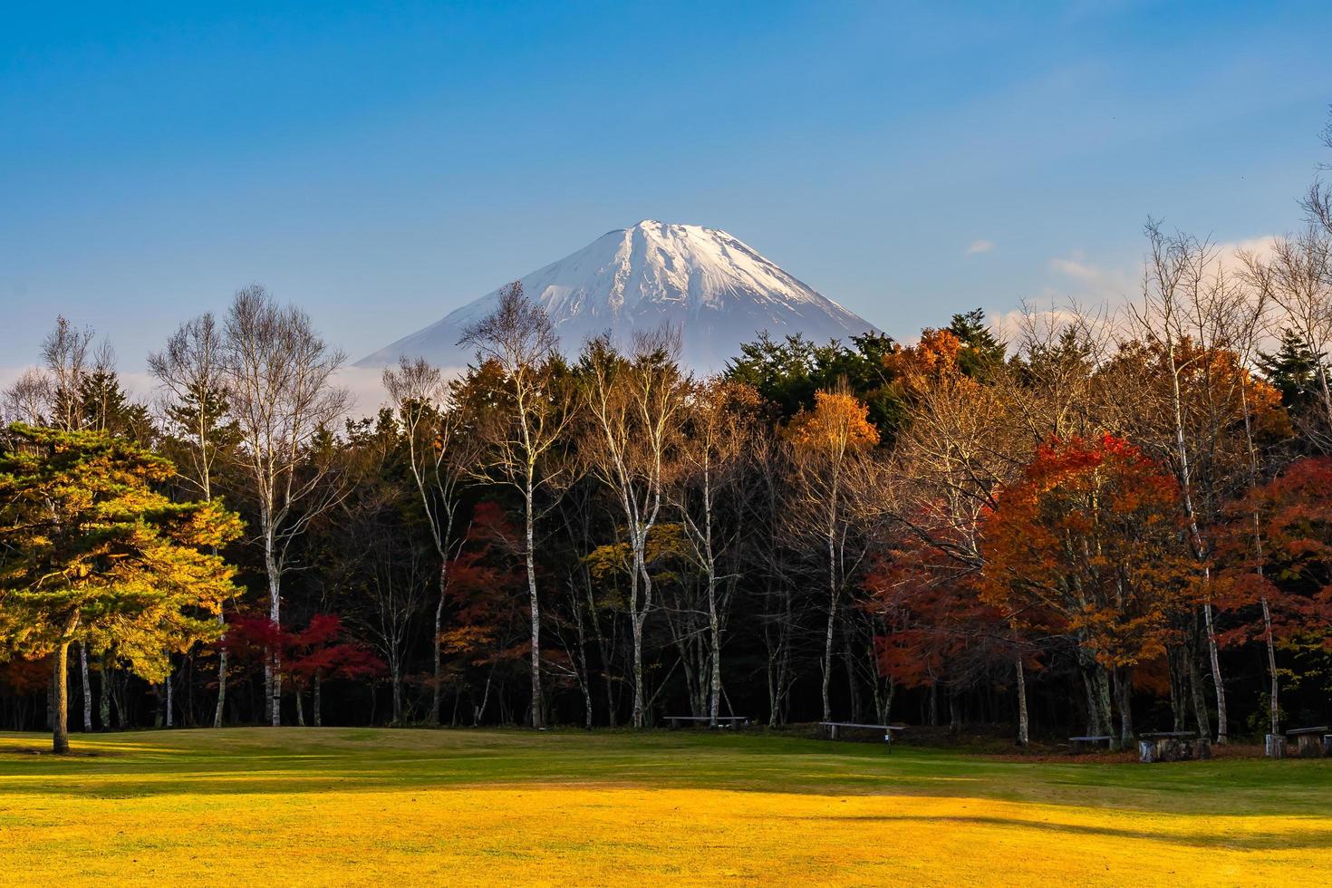 paisagem em mt. Fuji no Japão no outono foto