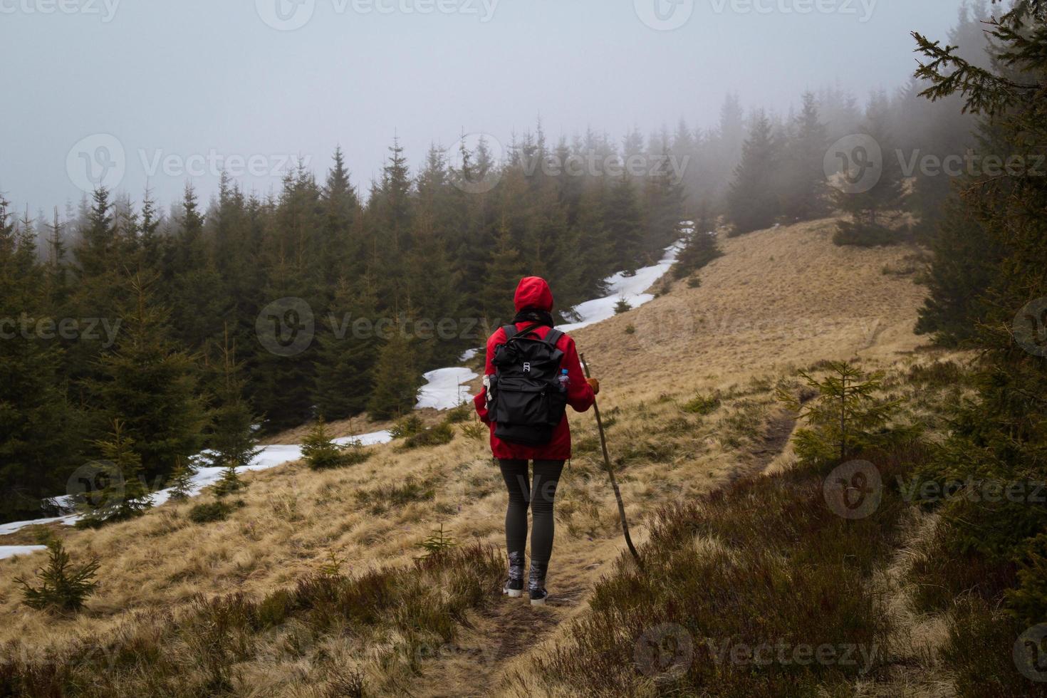 fêmea caminhante viajando através Primavera nebuloso floresta cênico fotografia foto