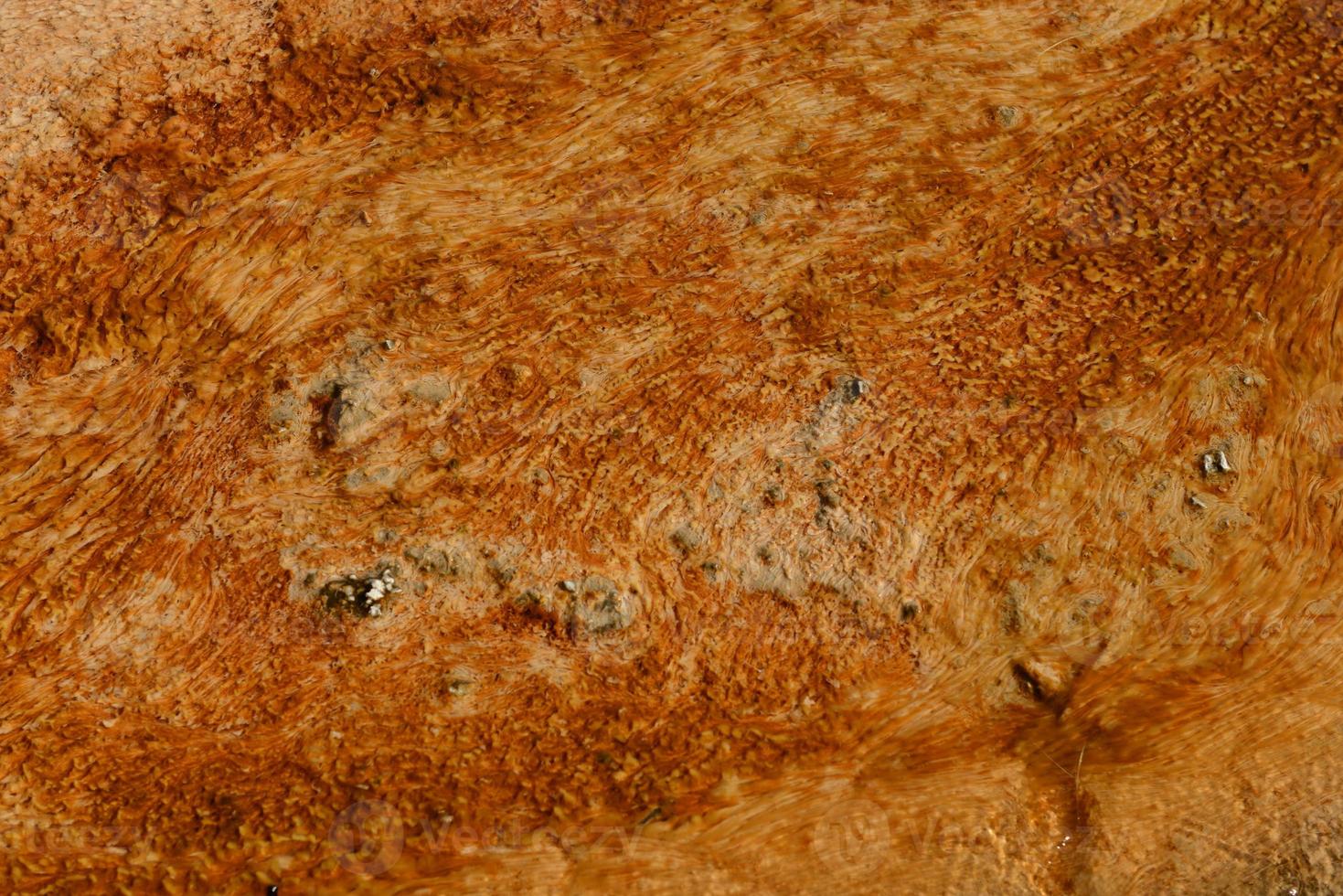 yellowstone textura natural gêiser velho fiel foto