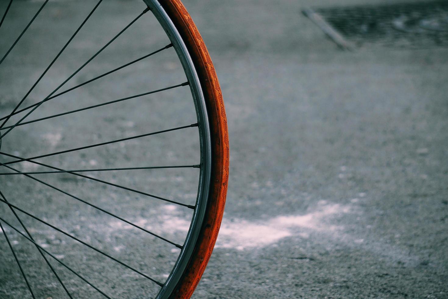 perto de uma roda de bicicleta foto