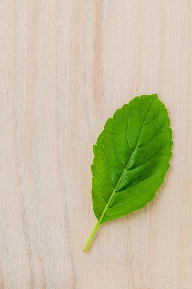 folha verde em um fundo de madeira clara foto