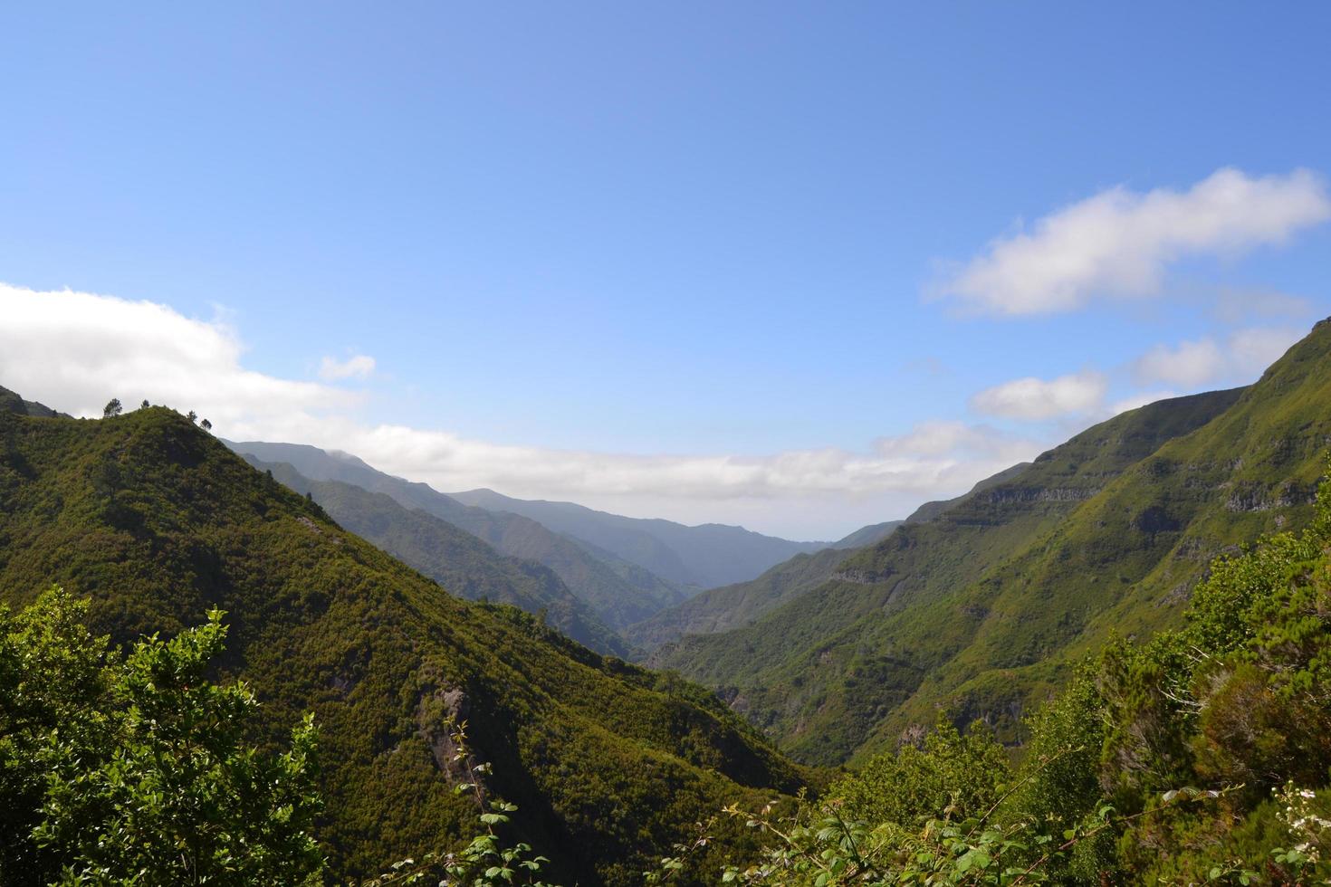 vista da montanha na ilha da madeira, portugal foto