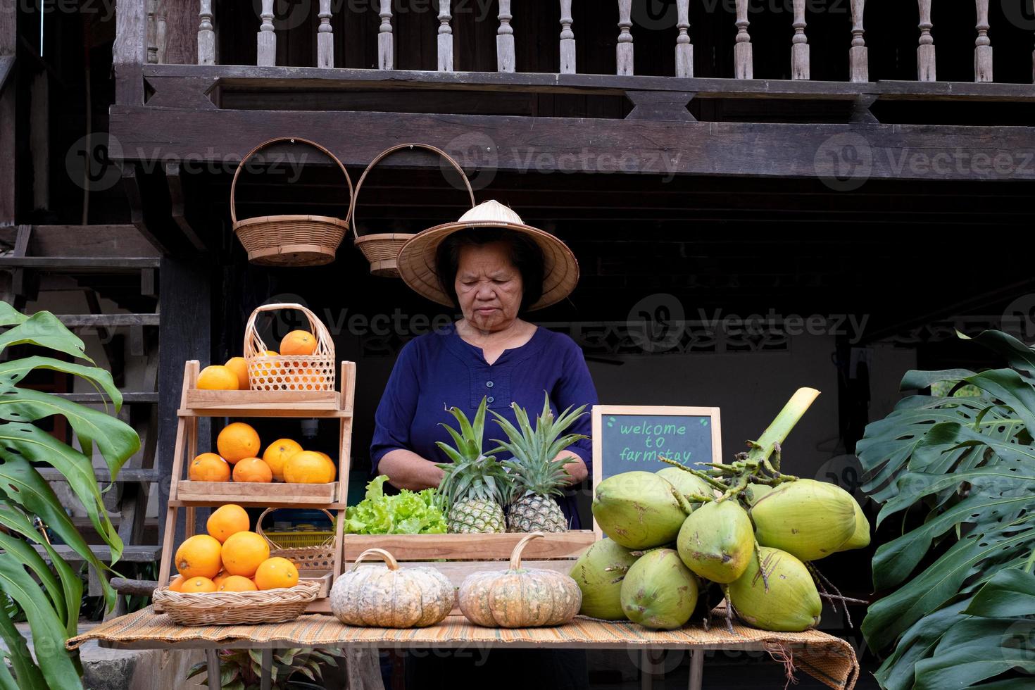 Ásia fornecedor vendendo frutas às a Fazenda ficar, homestay às Tailândia loei foto