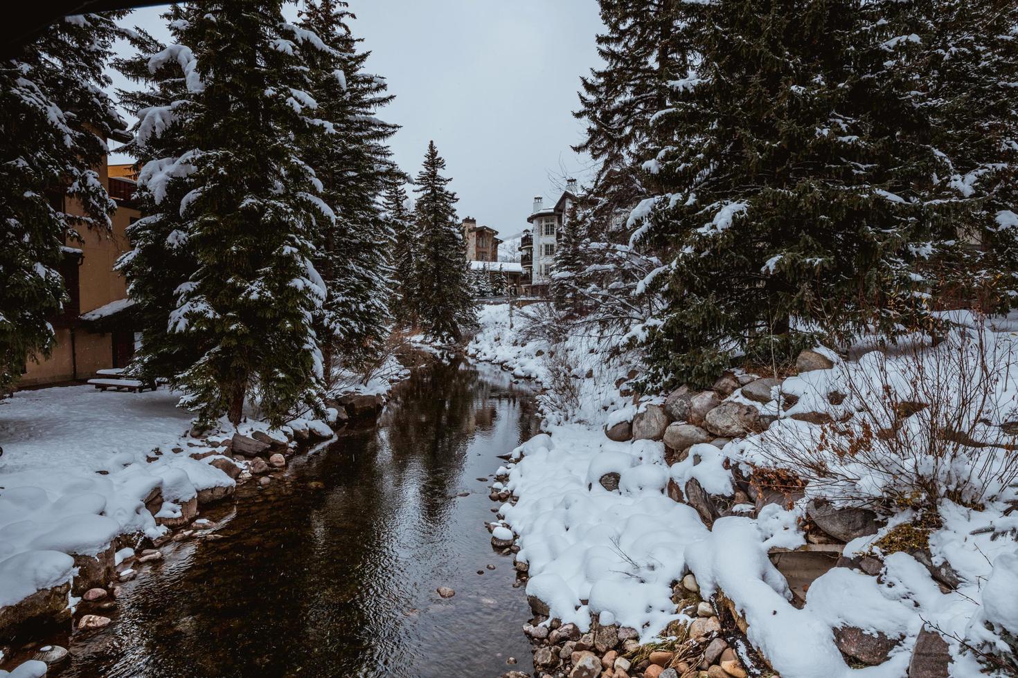 riacho de inverno nas fontes do Colorado foto