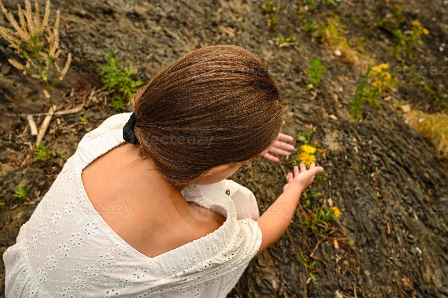 a menina parece para dentro a distância. uma romântico imagem. retrato do uma lindo mulher com grandes cabelo olhando para dentro a distância. foto