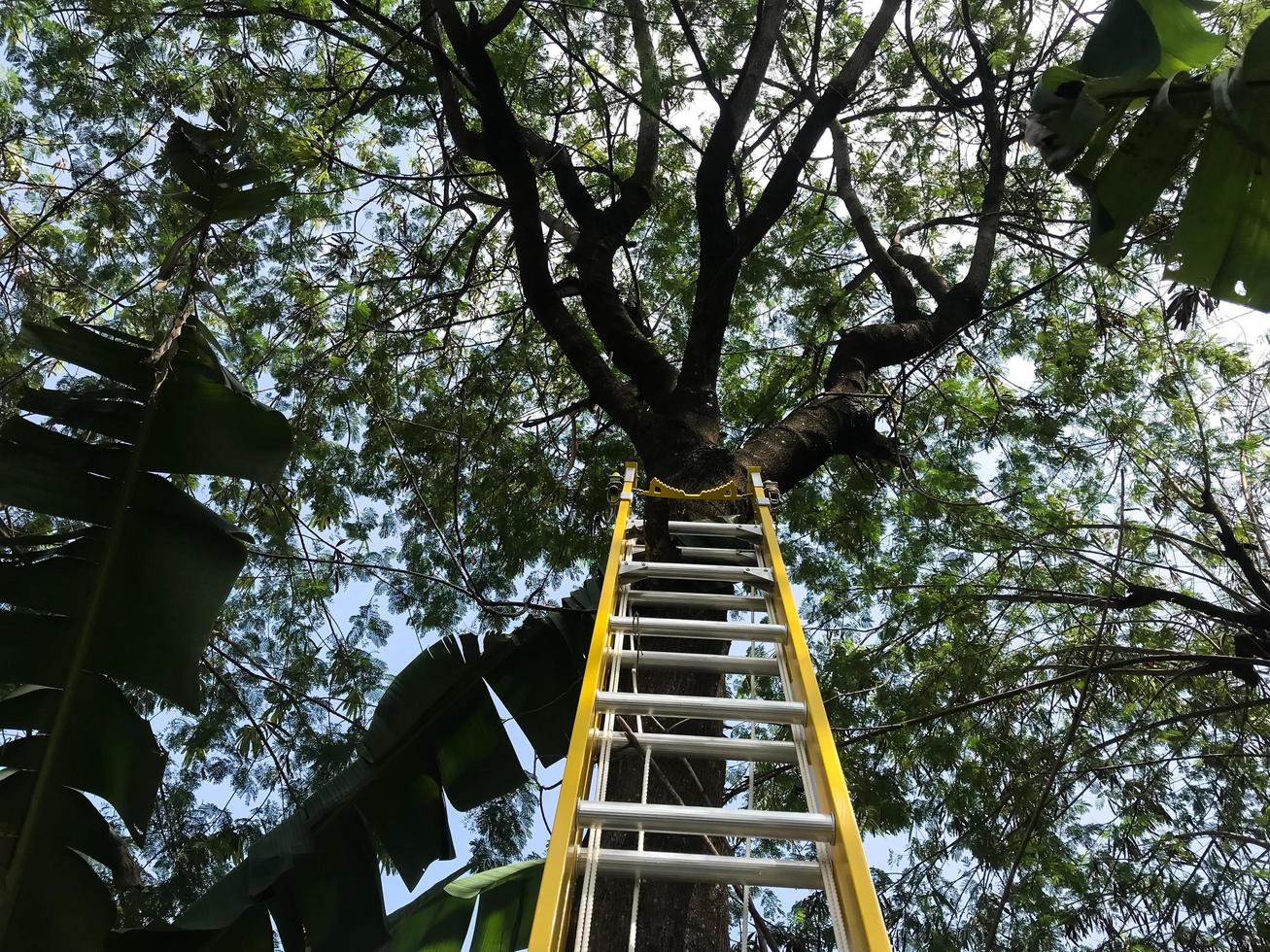 uma amarelo Escadaria foto