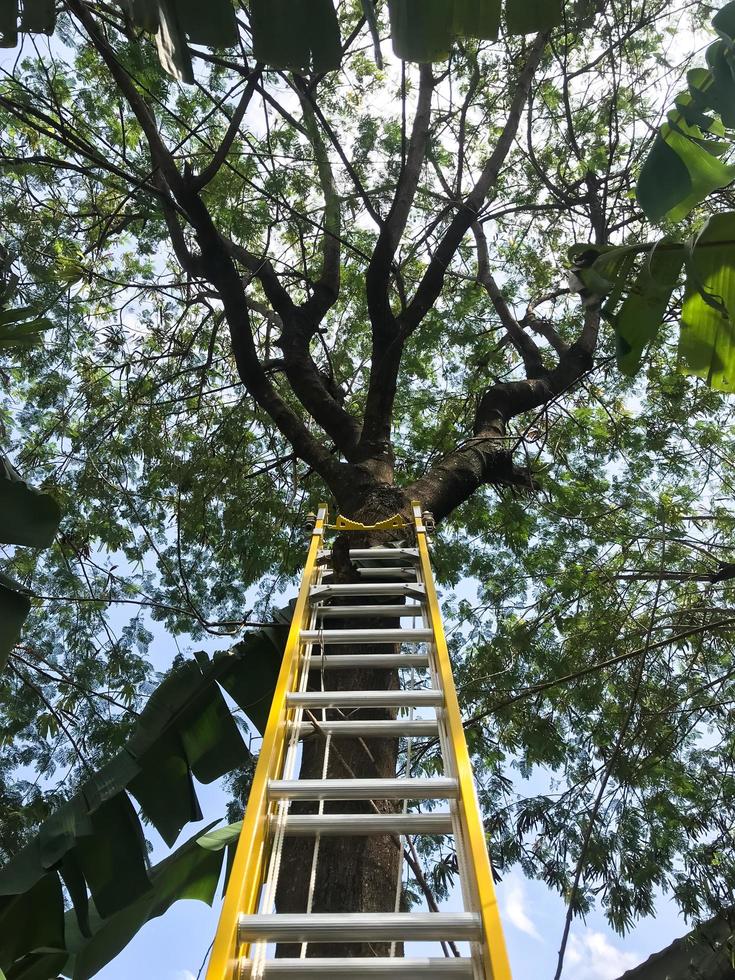 uma amarelo Escadaria foto