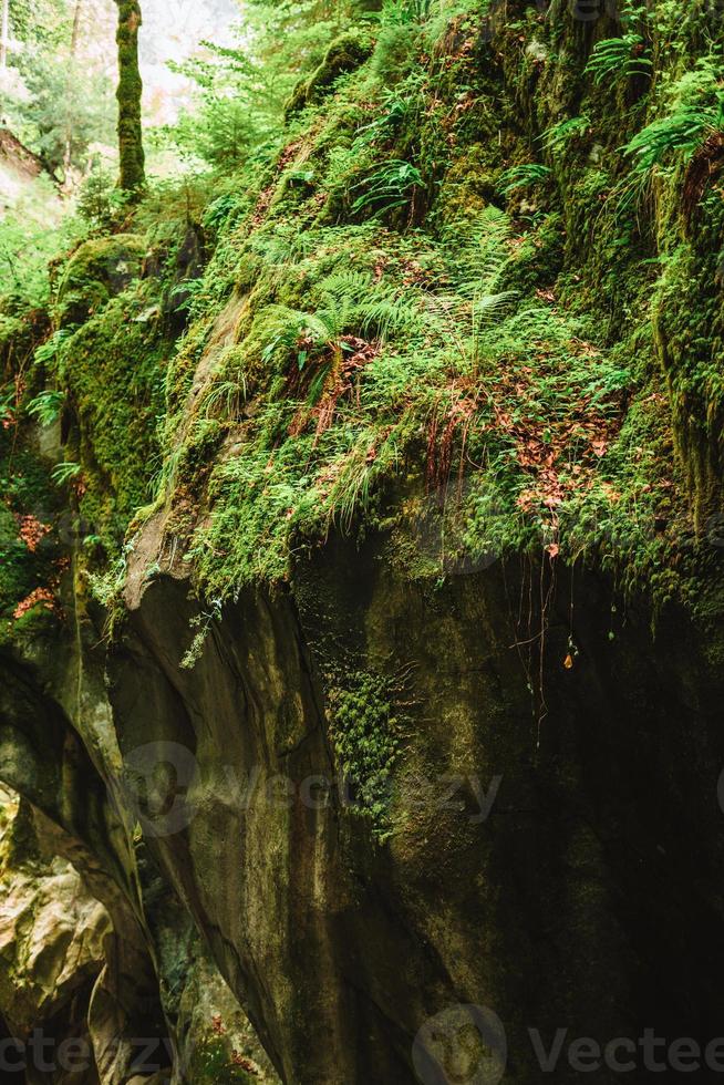 majestoso desfiladeiros du pont du diable caverna dentro França foto