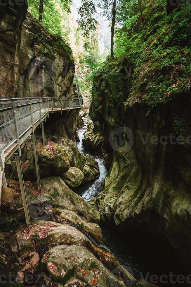 majestoso desfiladeiros du pont du diable caverna dentro França foto