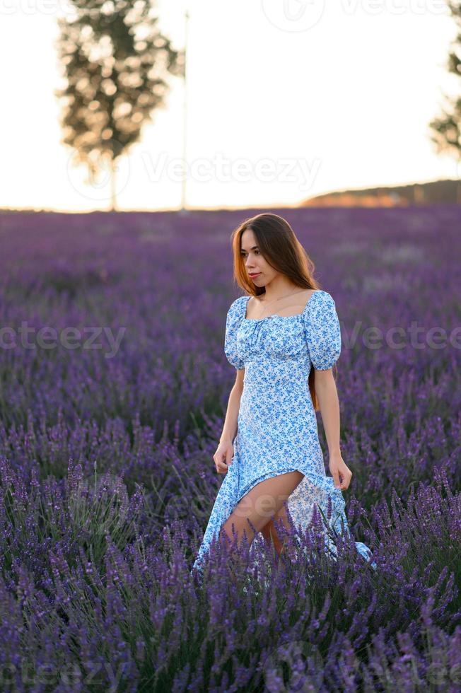 atraente delgado feliz menina dentro uma azul vestir dentro uma lavanda campo às pôr do sol. foto