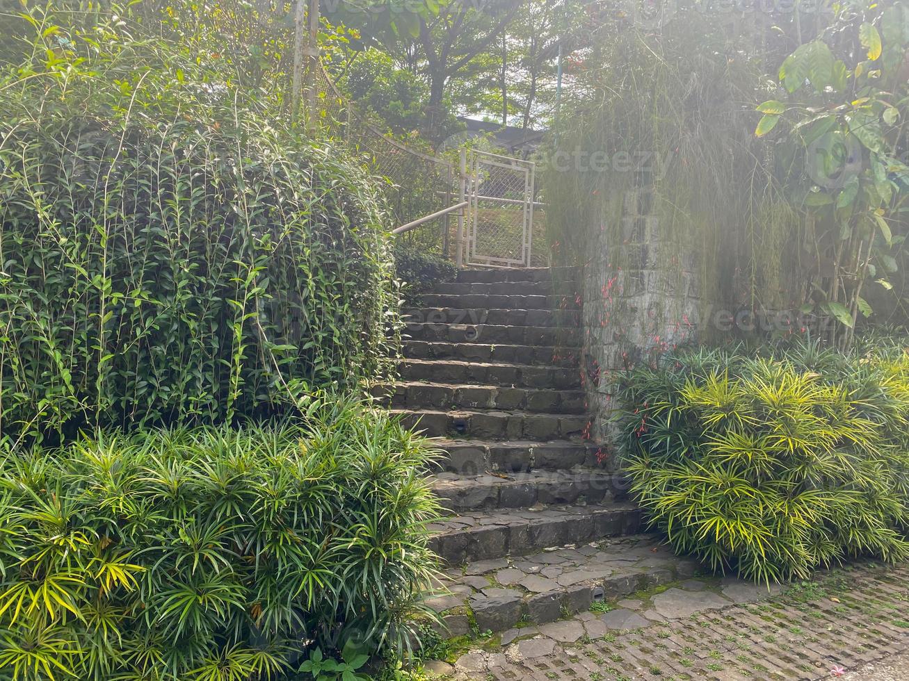 jardim Escadaria. clássico pedra alvenaria Escadaria coberto com verde plantas. foto