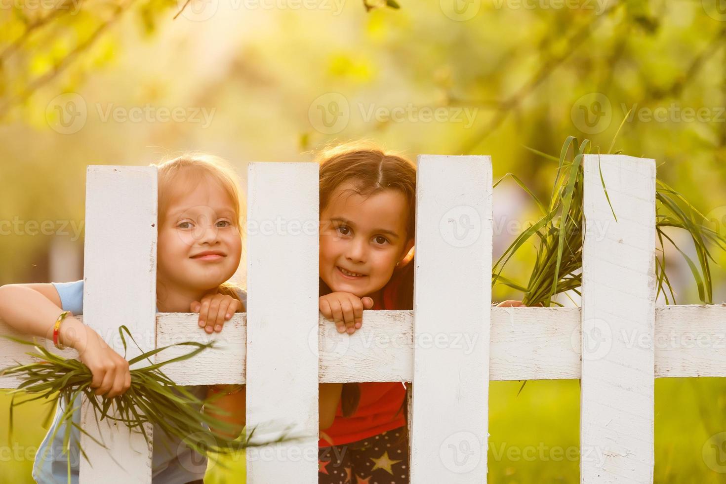 dois lindo jovem meninas dentro a jardim cerca foto