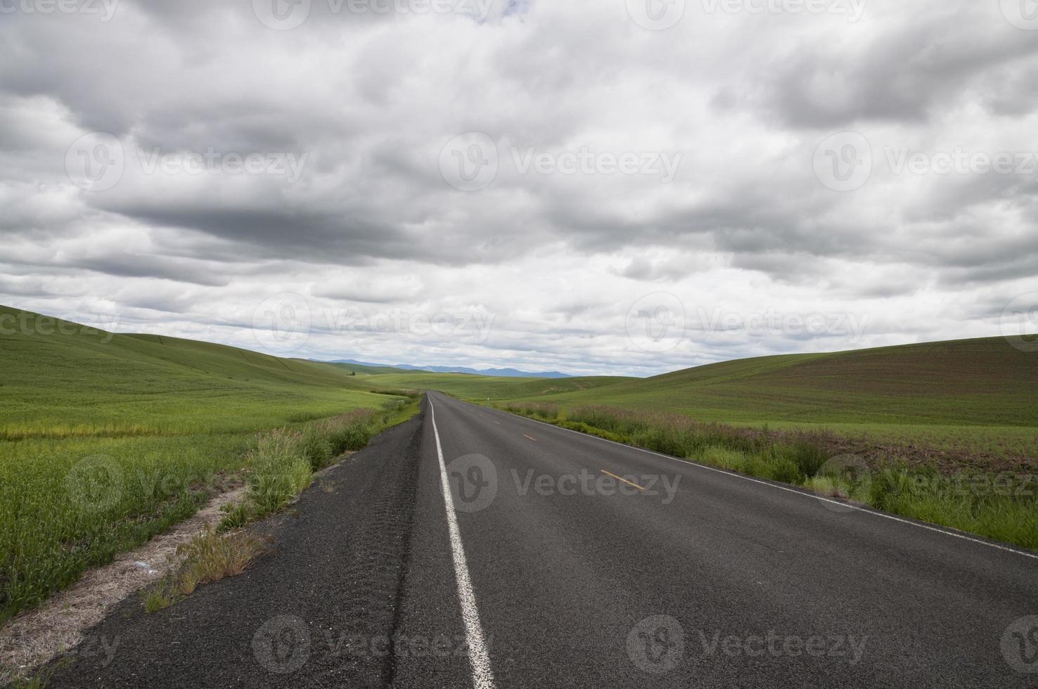 estrada passagem através trigo Campos em rolar colinas foto