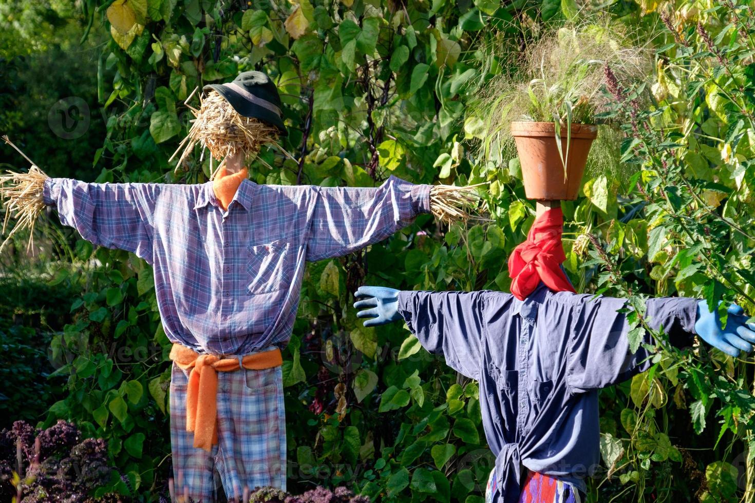 horário de verão no jardim foto