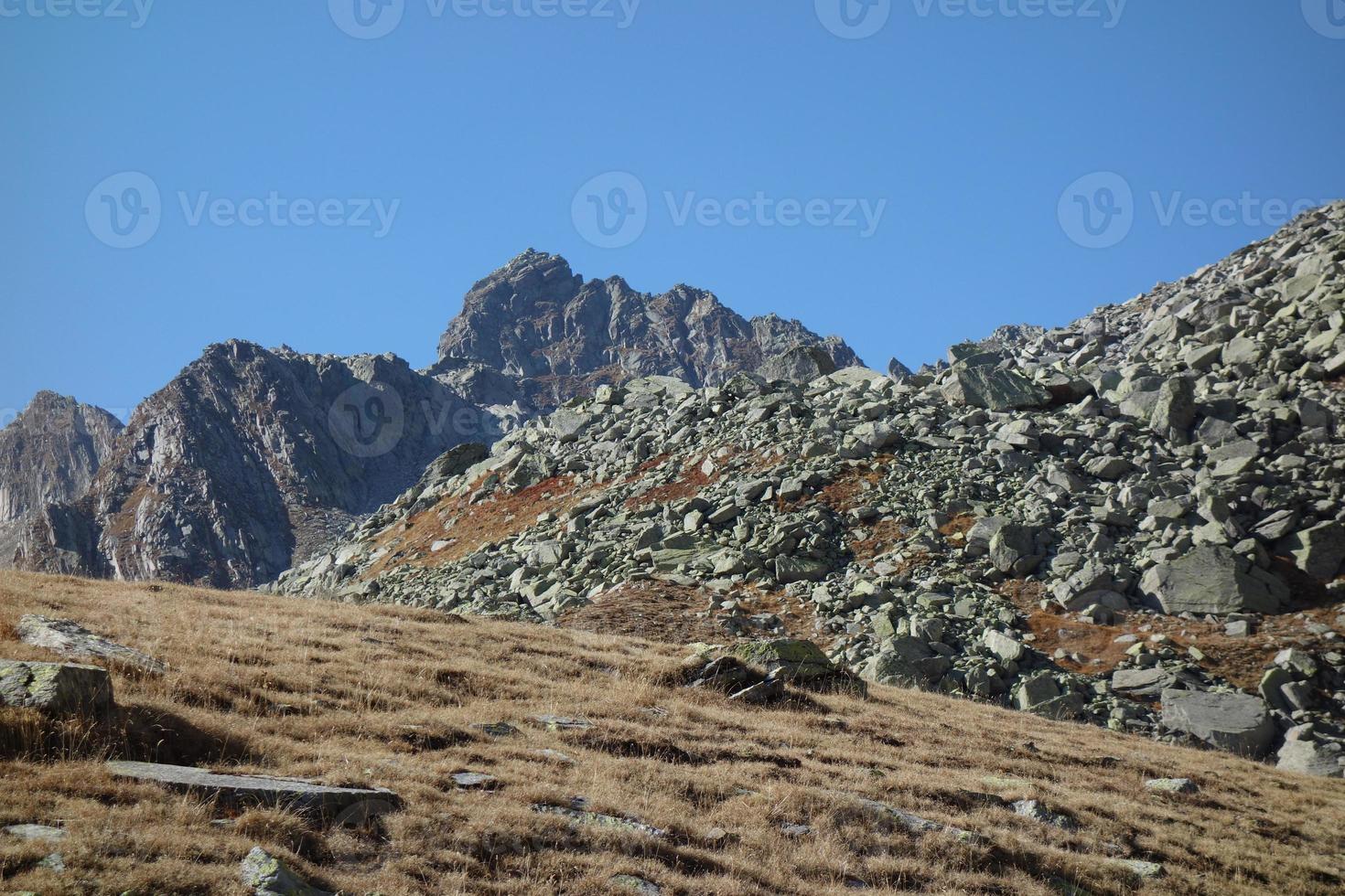 dentro a suíço montanhas foto