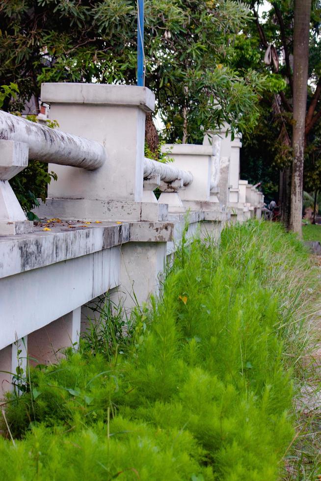 pedra parede com plantas em a calçada foto