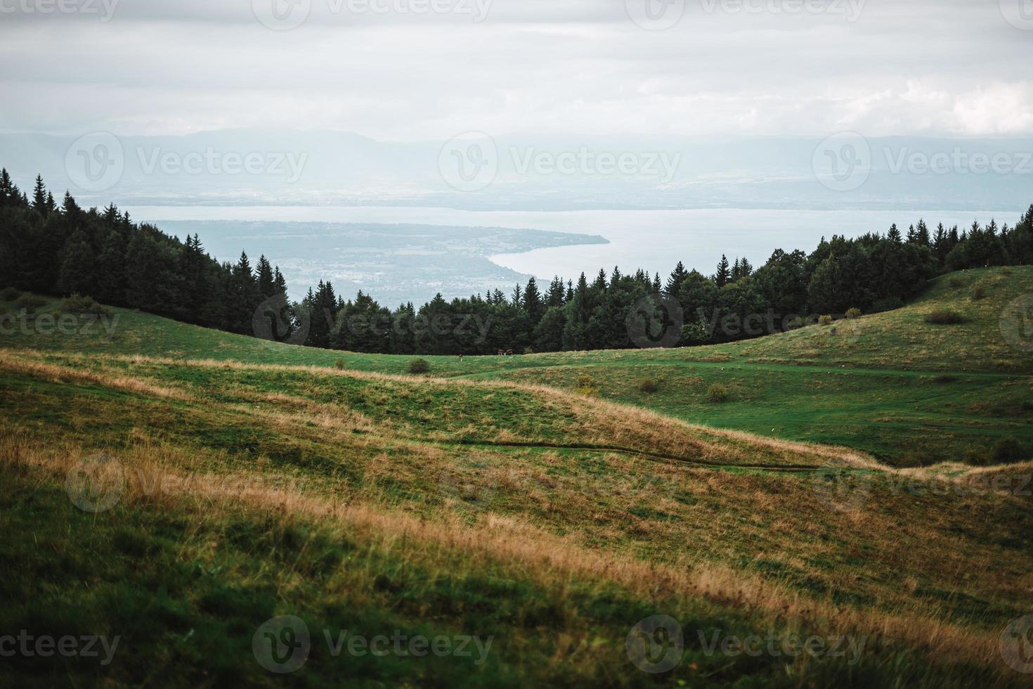 majestoso montanhas dentro a Alpes coberto com árvores e nuvens foto