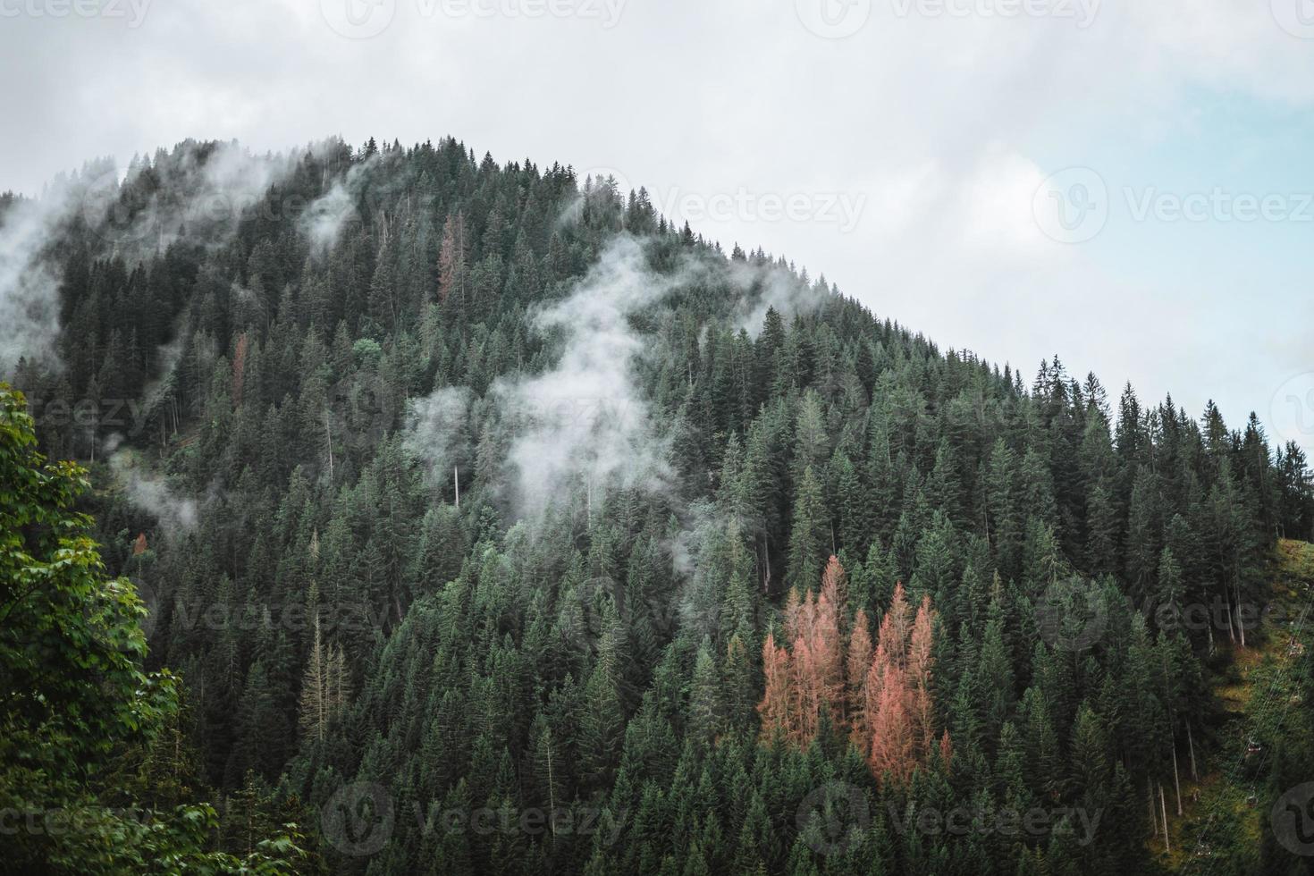 majestoso montanhas dentro a Alpes coberto com árvores e nuvens foto