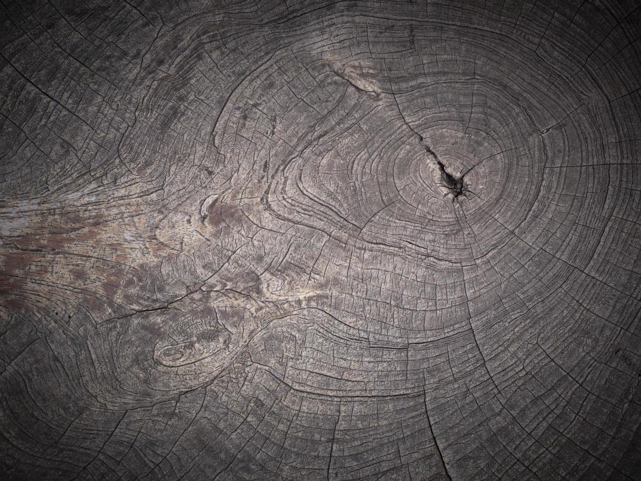 fechar acima a é tecido para dentro uma internet madeira fibra papel de parede. natura corda textura Como uma fundo. cheio quadro, Armação do firmemente tecido corda padrão.com espaço para texto, para uma fundo. foto