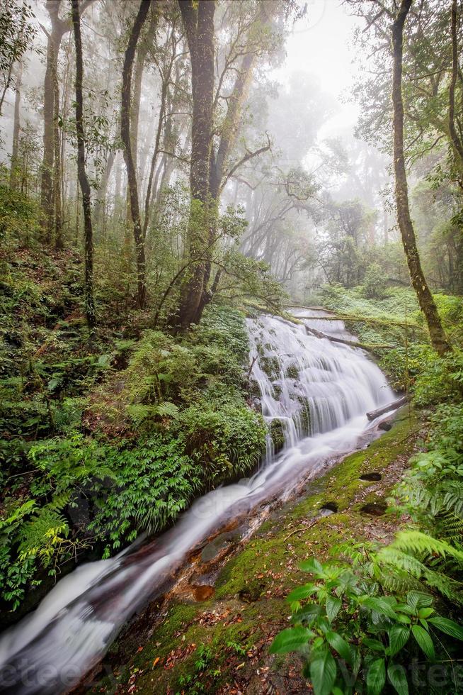 água fluindo no parque nacional inthanon, chiangmai, tailândia foto