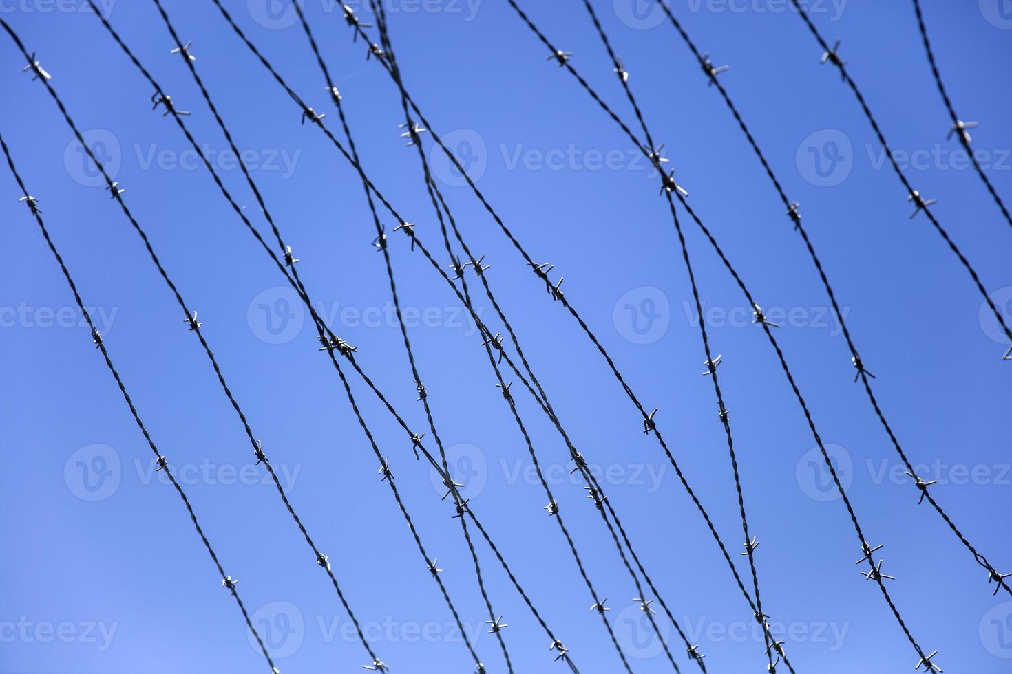 arame farpado sob o céu azul foto