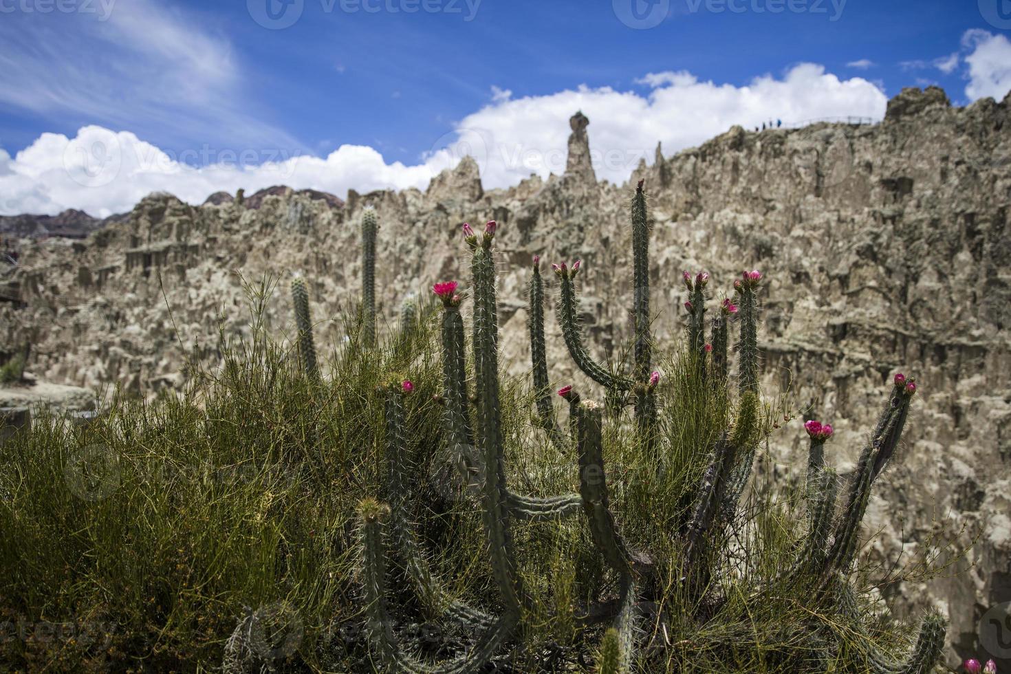 Valle de la Luna na Bolívia foto