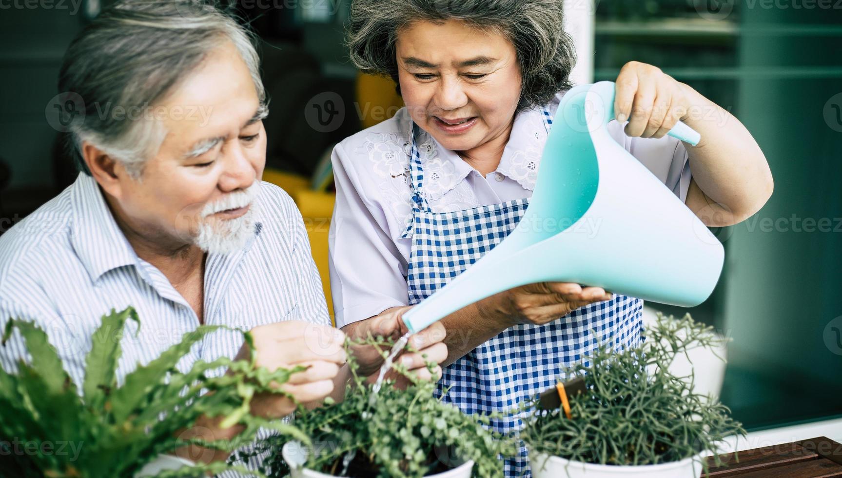 casal de idosos conversando e plantando árvores em vasos foto