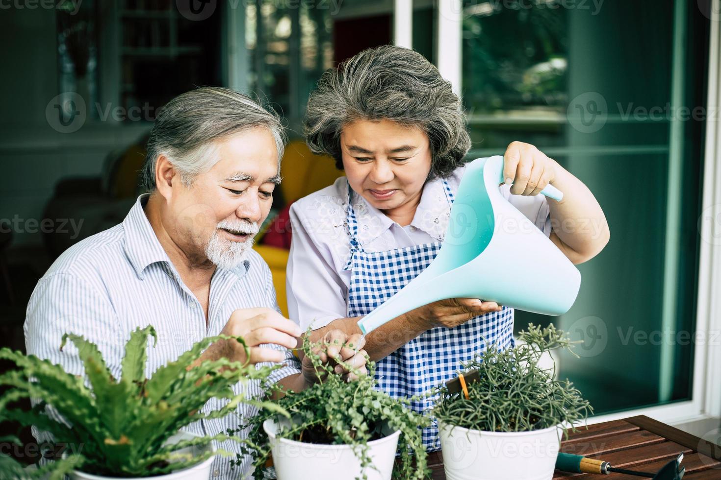 casal de idosos conversando e plantando árvores em vasos foto