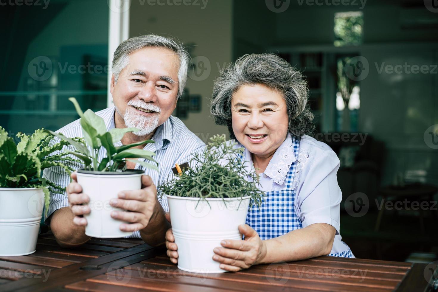 casal de idosos conversando e plantando árvores em vasos foto