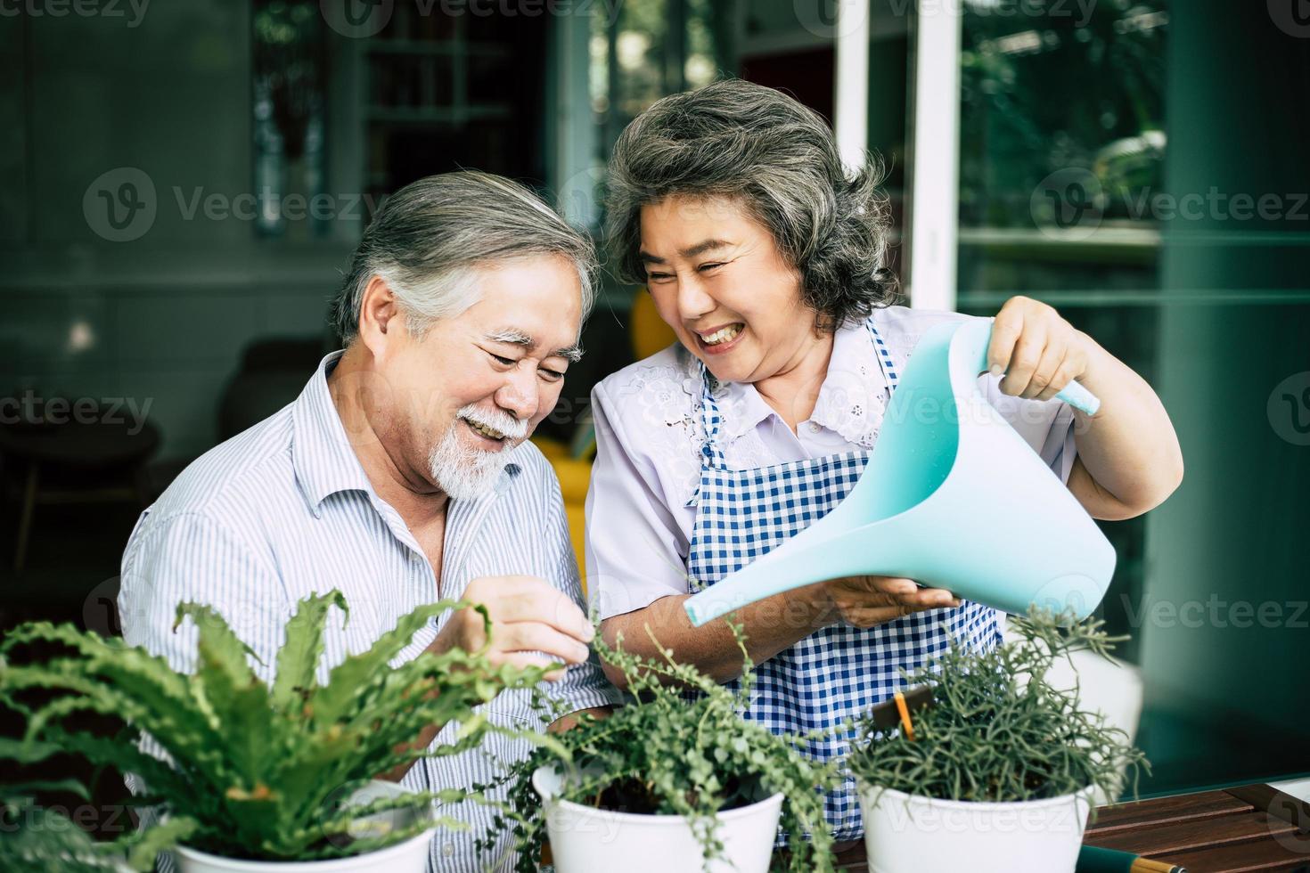 casal de idosos conversando e plantando árvores em vasos foto