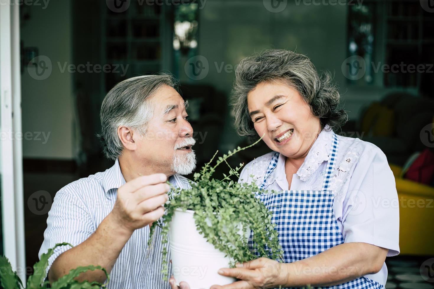 casal de idosos conversando e plantando árvores em vasos foto