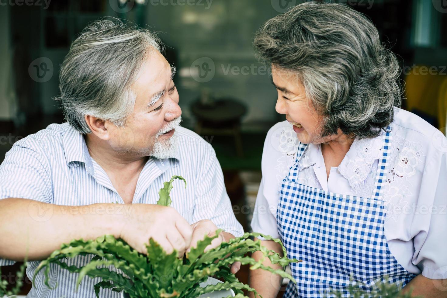 casal de idosos conversando e plantando árvores em vasos foto