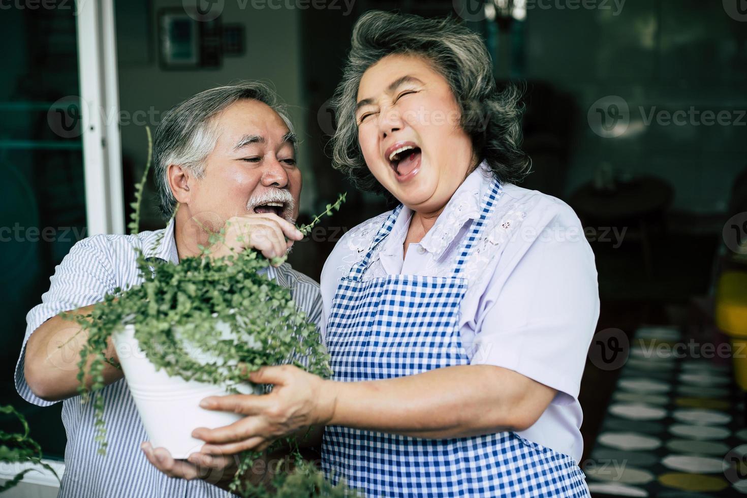 casal de idosos conversando e plantando árvores em vasos foto