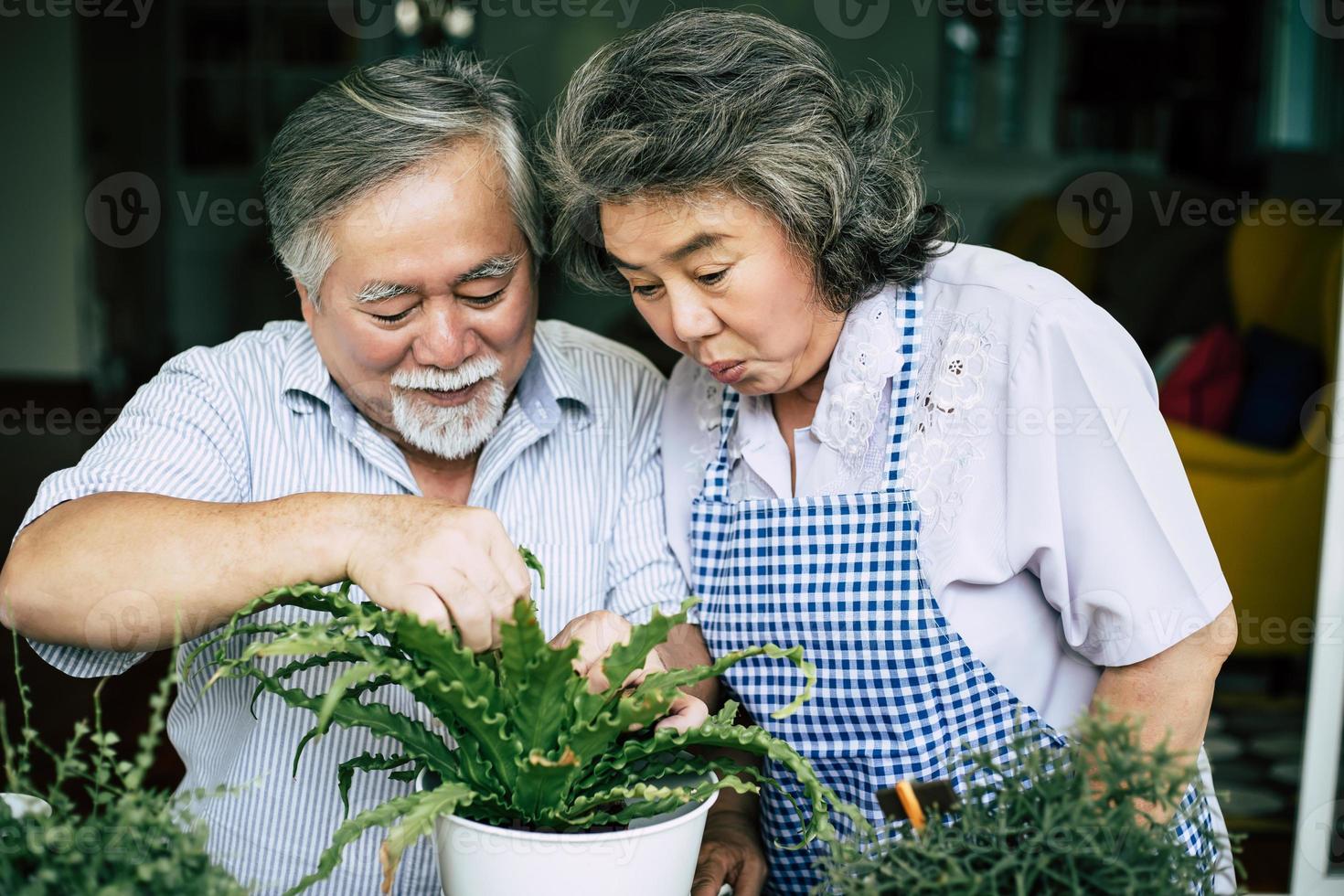 casal de idosos conversando e plantando árvores em vasos foto